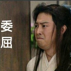 主要是真的值