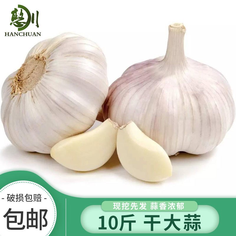 憨川 10斤 干蒜头 大蒜头蒜 紫白皮蒜 包邮 新干蒜2.5斤/5 新干蒜5.9元