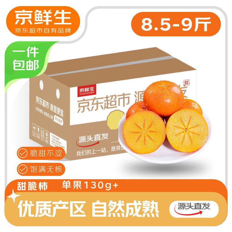 先领9-6.1卷