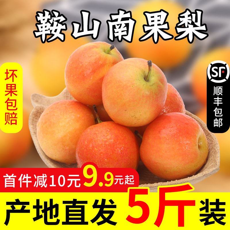 0点开始   6.9元正宗鞍山南果梨2斤  (8wi2cWRTM67)
