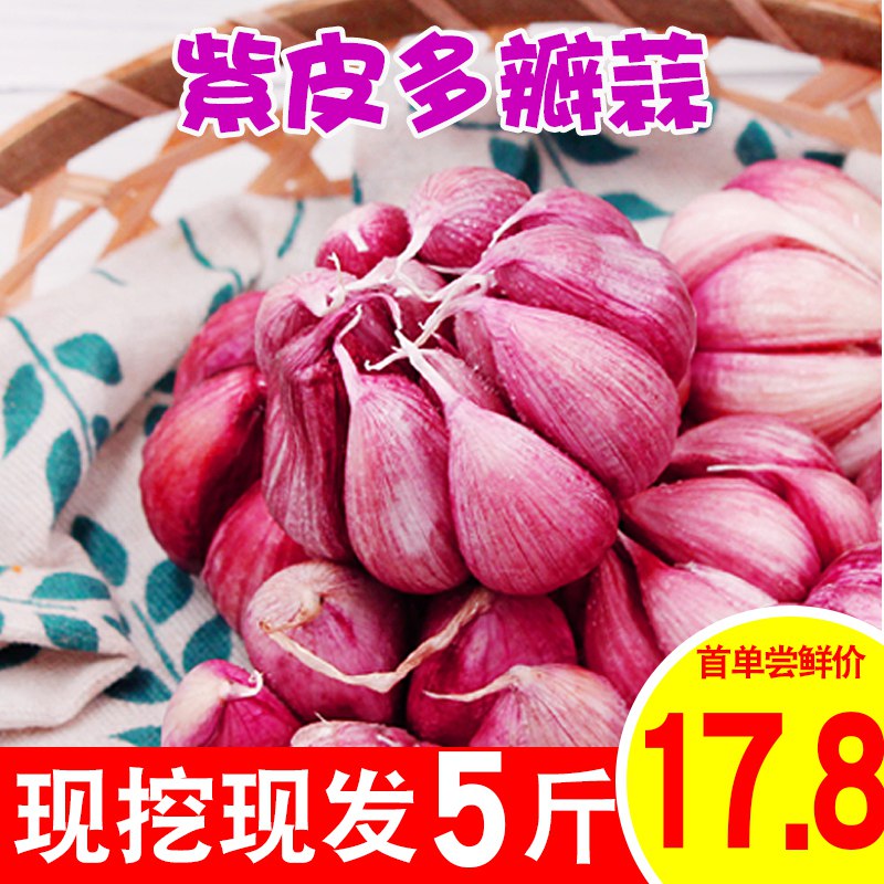 新鲜大蒜5斤6.8  