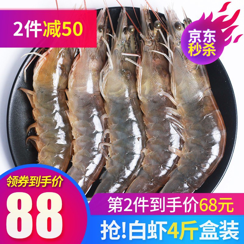 3.1万+好评！新鲜冷冻厄瓜多尔大号白虾 4斤