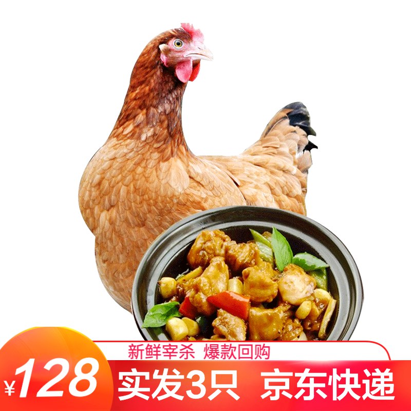 农村土鸡三黄鸡整只装 约850g/只