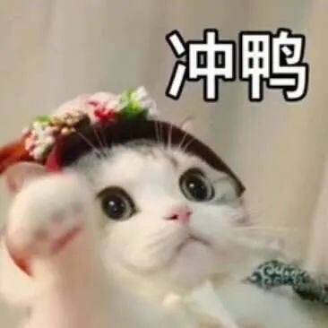 快锁‼2块多/盒的百菲酪百菲酪-水牛奶品牌中的Top1跟普通奶一个价，闭眼上车❗