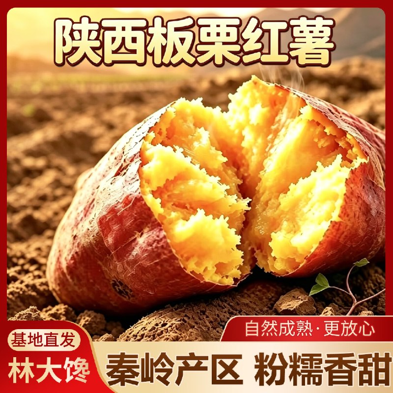林大馋 陕西正宗板栗红薯净重4.7斤