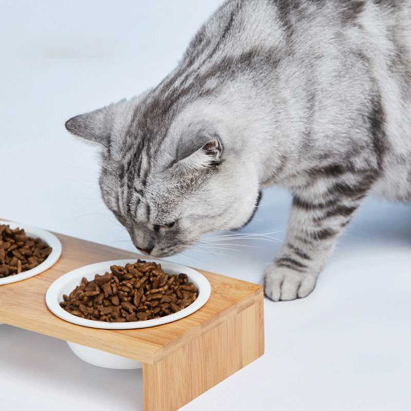 14元【网易严选旗舰店】全价成猫粮尝鲜试吃装500g(QF6dXRGYhHR)/