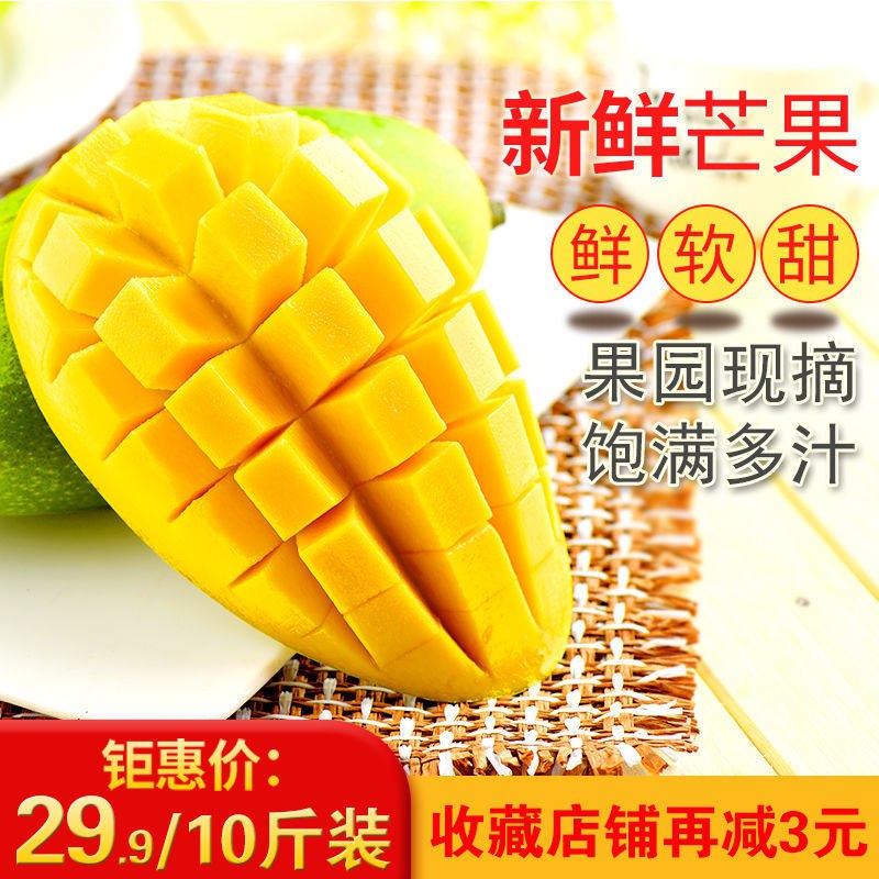 芒果凯特大芒果攀枝花新鲜水果应季水果10/5/3/2斤现摘芒果大青芒