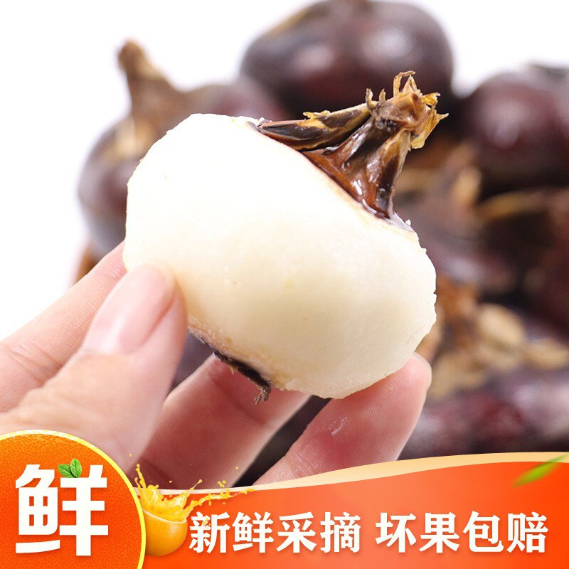 【新鲜采摘】新鲜马蹄荸荠 特产脆甜无渣当季果蔬农家自种  5斤装