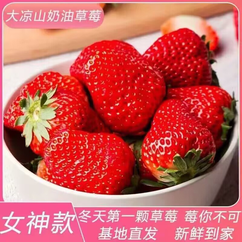 49亓 草莓神价✨【绿食森旗舰店】新鲜红颜草莓黑金礼盒*3斤)DfR8WeOG1TC)/ CZ1111草莓今年第一次活动 速度冲顺丰空运的