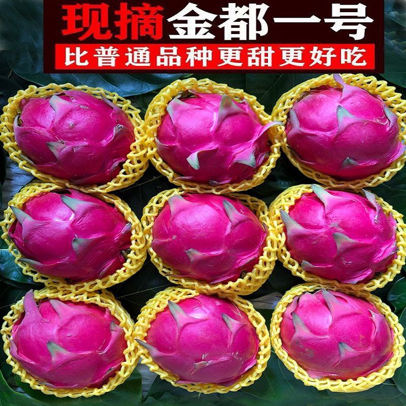 广西红心火龙果净重5斤金都一号新鲜水果批发红肉火龙果整箱包邮12.9元