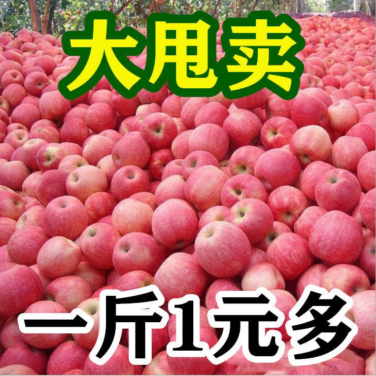 【超低价】陕西红富士苹果水果新鲜脆甜冰糖心10斤5斤3斤整箱批发【10月1日发完】