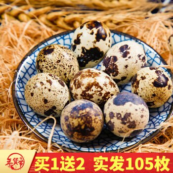 农家自养新鲜生鹌鹑蛋一份35个，买一份送二份