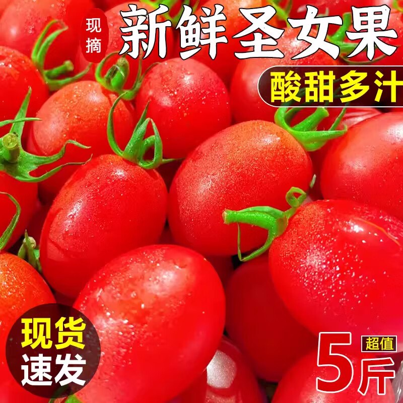 松筱 千禧圣女果 小番茄5斤装