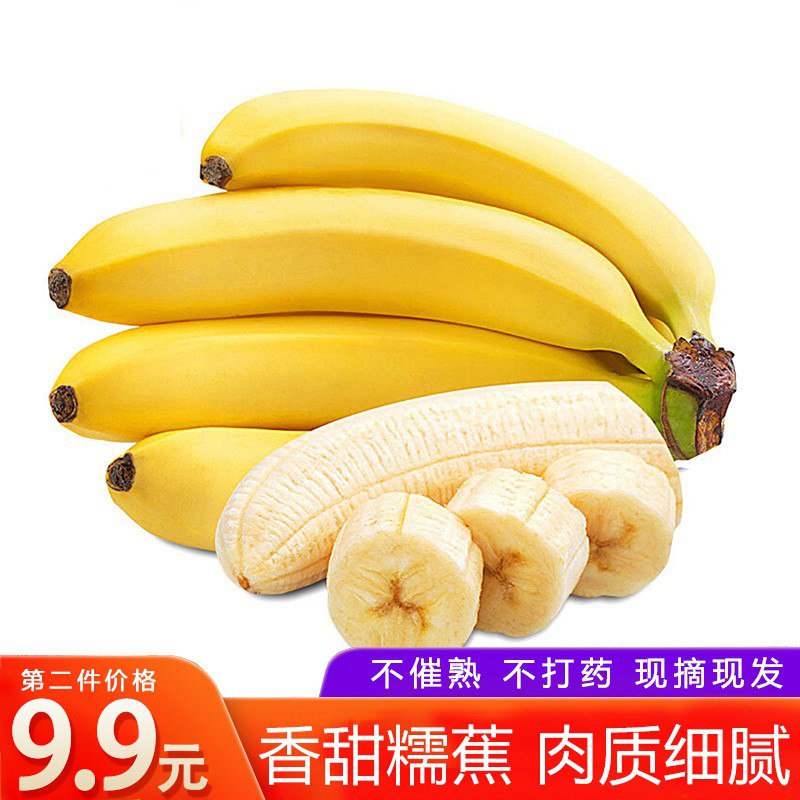 必拍2件！高山农家甜糯香蕉10斤，满满两箱！不催熟 不打药，现摘现发！