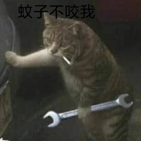我听过最不科学的谎言就是~没事，甭管我，打小蚊子就不咬我~