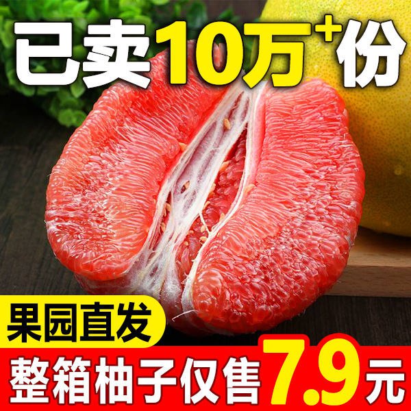 【现货】红心柚子白心蜜柚福建琯溪柚三红肉柚当季新鲜水果多规格