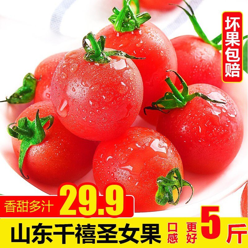 新鲜小番茄5斤 巻后19.9亓包邮  