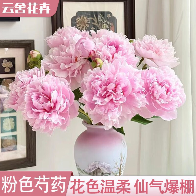 速薅！！云舍花卉鲜花合集①12.9元 随机色芍药 5支