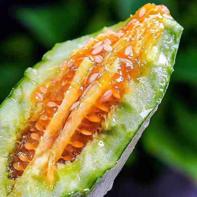 【冲量3000件】现摘羊角蜜甜瓜 5斤