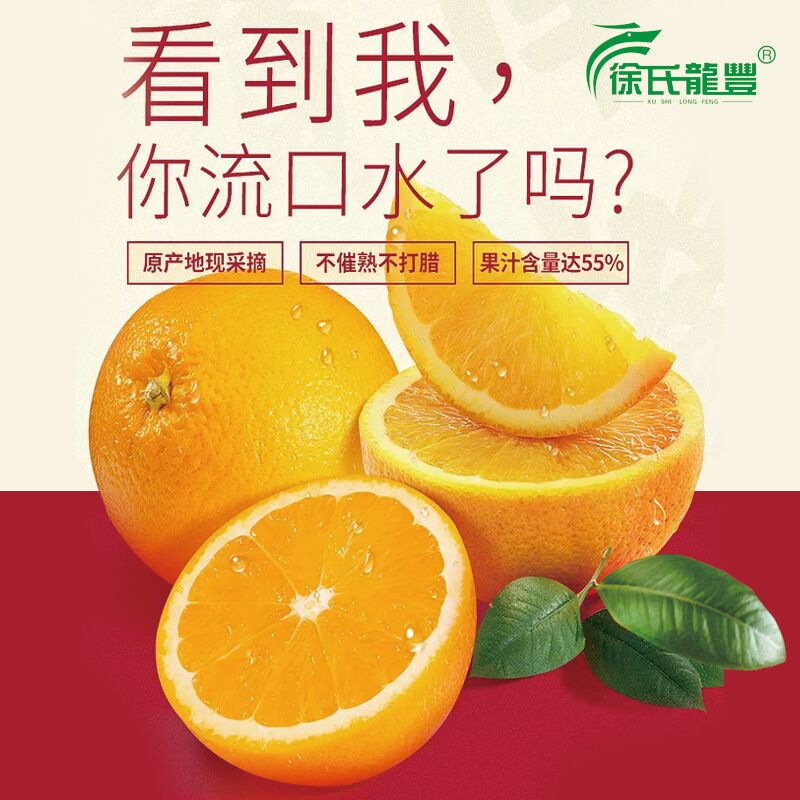 0点 莨山大果脐橙净重5斤   