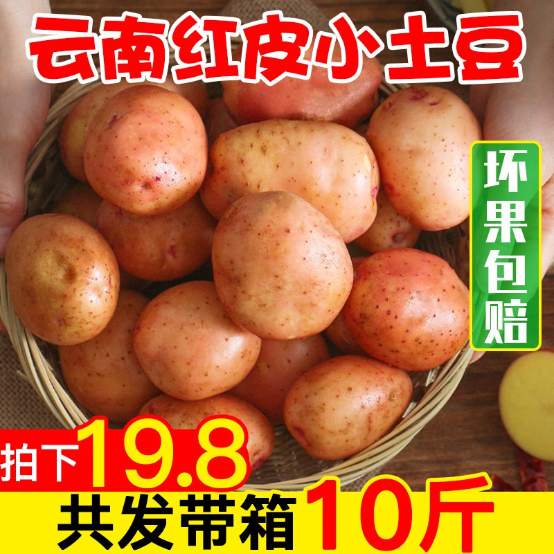 农家小土豆10斤   