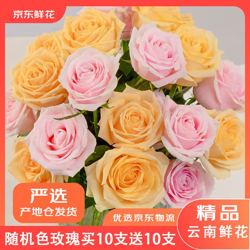 自营京东鲜花 随机色玫瑰鲜花plus【19.9元】得含赠20枝！！