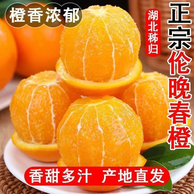 您家橙 秭归伦晚橙净重7斤