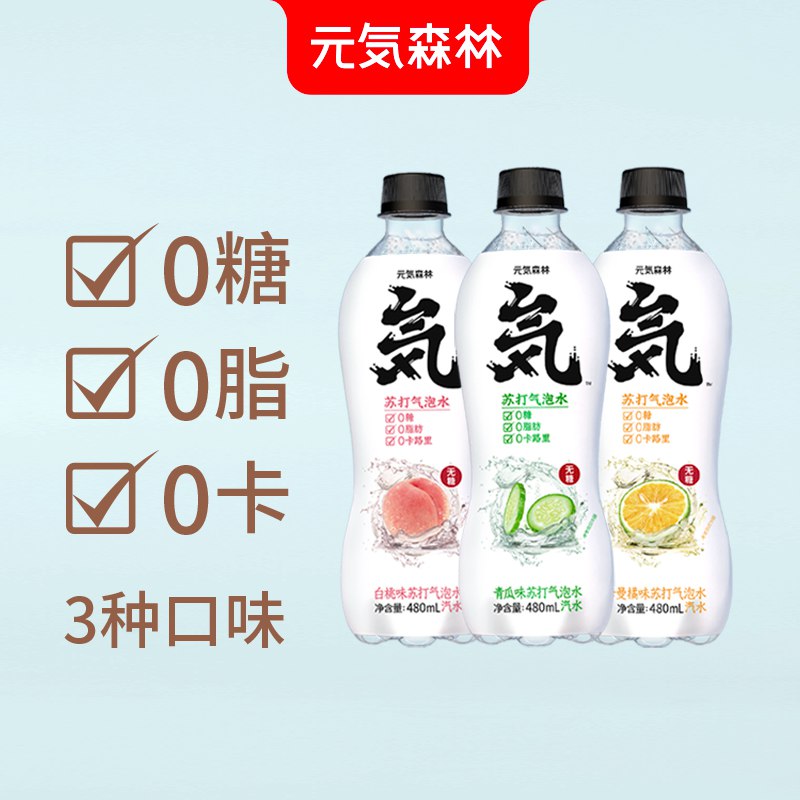 亓气森林饮料480ml 12瓶   