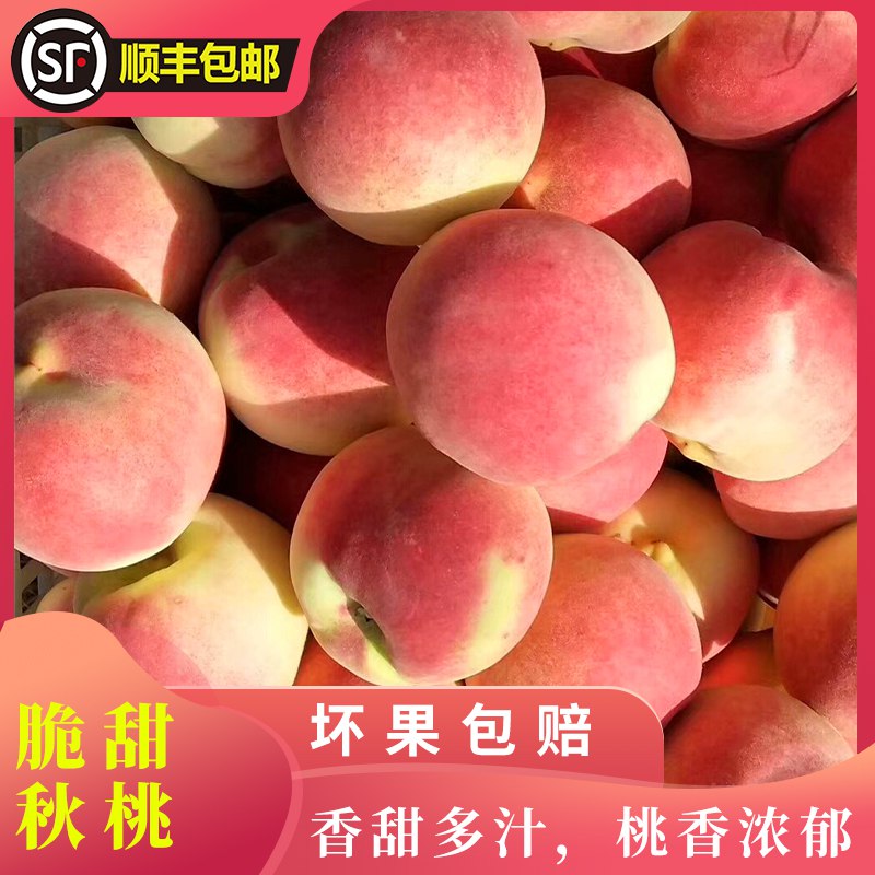 顺丰包邮5斤13.9元现摘水果蜜桃甜脆桃子整箱  (cTDXcVWLGkn)