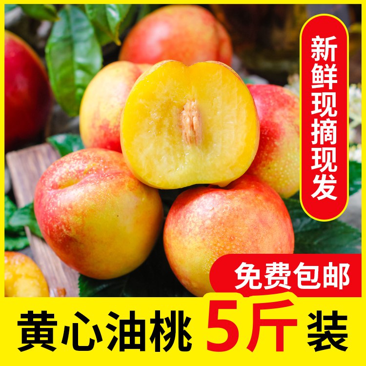 脆甜油桃5斤 15.9亓  (PNWt1r8fzuc)