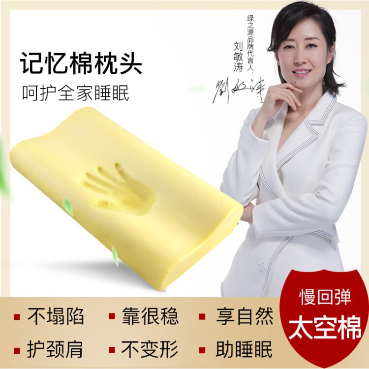 绿之源 记忆枕头慢回弹太空棉枕头芯 群成人透气睡眠学生单人记忆枕头50*30*11cm