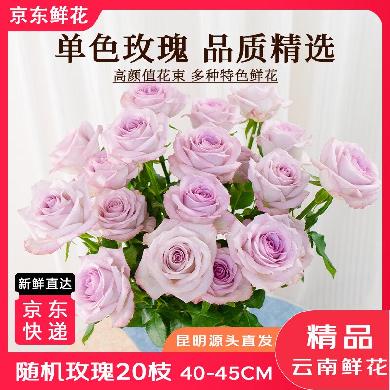 自营京东鲜花 随机色玫瑰花20枝（含赠）到手19.9元，才0.99/支