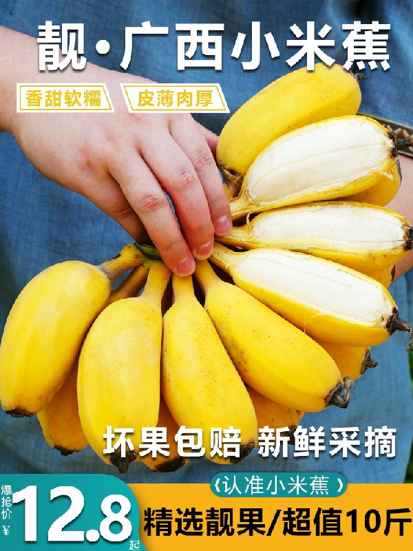 9.8元 鲜班长旗舰店广西精选新鲜小米蕉5斤装(e0YFXmrqwcS)/