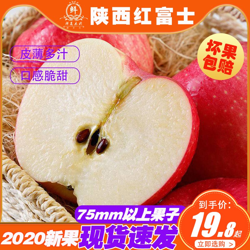 大果陕西红富士苹果5斤装  (NRwmcWIKORE)   18.8元