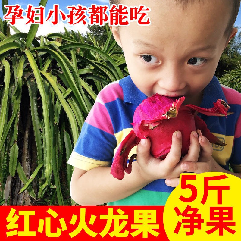 广西金都一号红心火龙果净重5斤新鲜水果批发当季红肉火龙果包邮12.9元