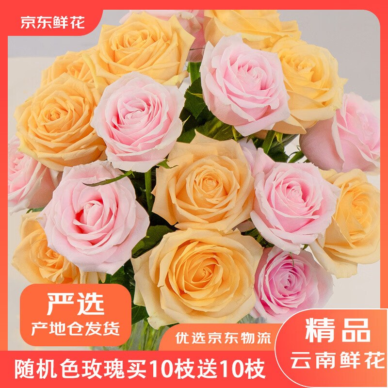 自营鲜花 随机色玫瑰花买10枝送10枝