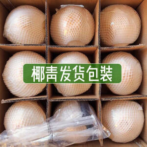 【顺丰现货】椰青 海南新鲜大椰子 整箱 9个礼盒装，78.8元