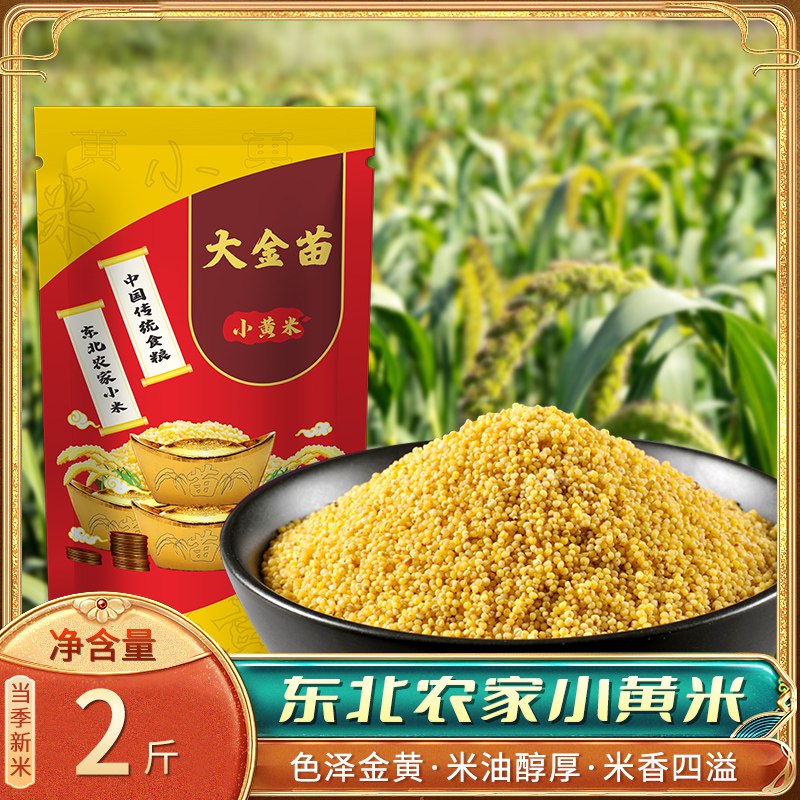 2件 拍2件 19.9元绅迪佳当季东北小黄米4斤)bLM42BQUx4W)/ CZ11/