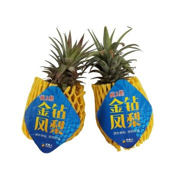 海南天地人金钻凤梨 单果约650g+