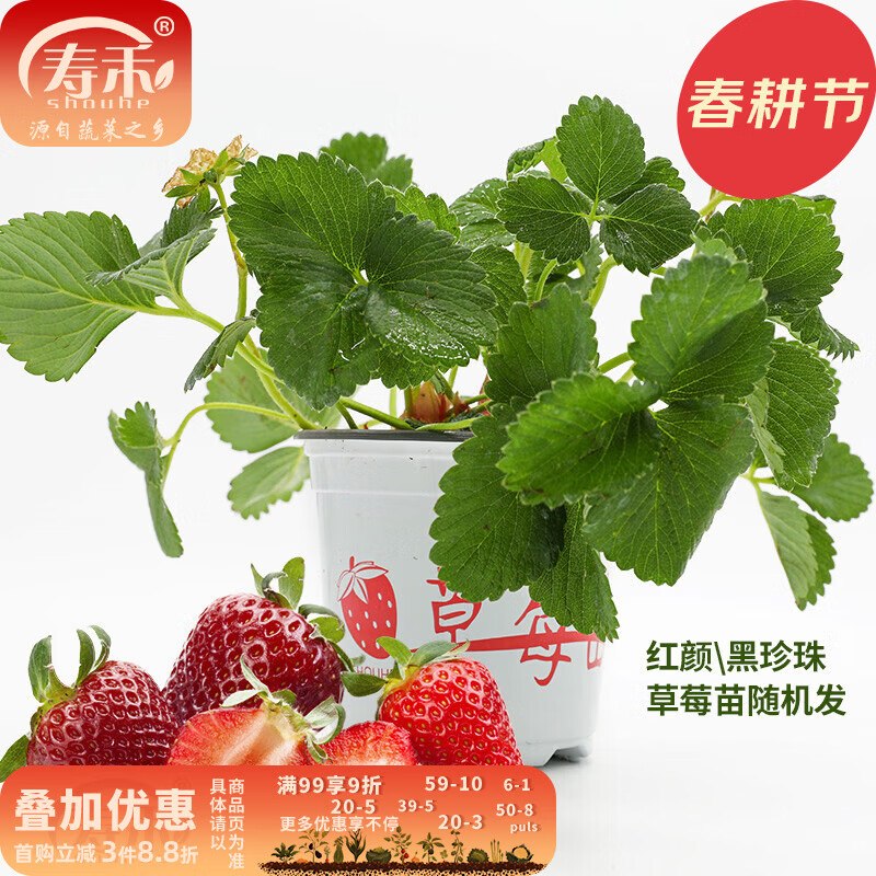 砸或领卷中心8.01-8绿植券