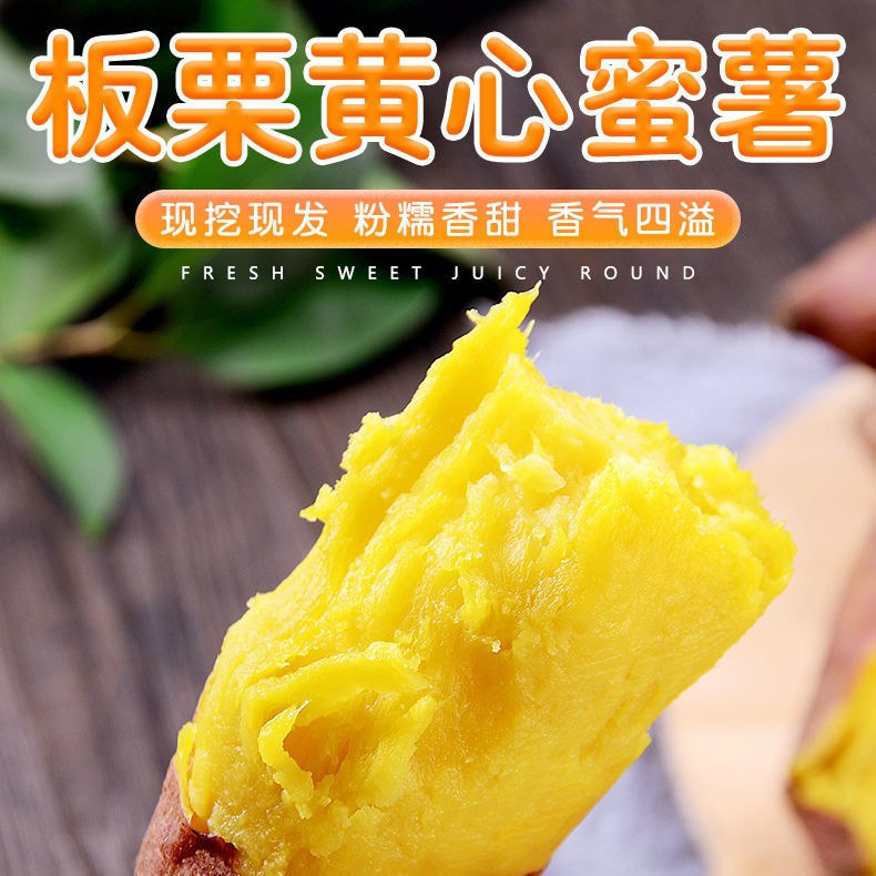 山东板栗黄心蜜薯5斤/9斤新鲜番薯地瓜农家红薯8.9元