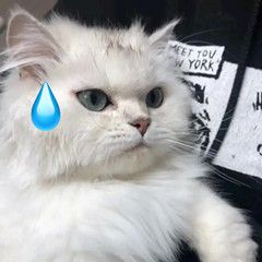 准备开始0点时间