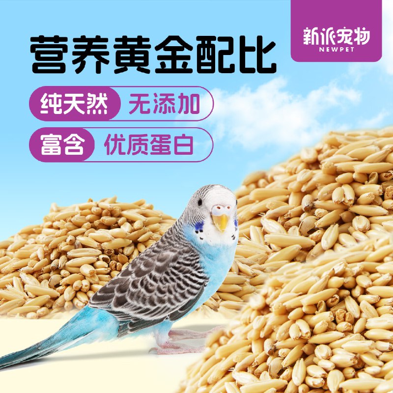 1元鹦鹉麦草籽