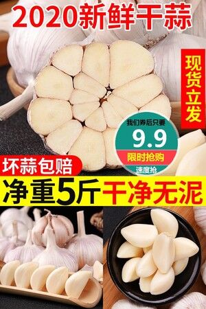 【馋青】山东新鲜大蒜头干蒜白皮干蒜5斤原价【14.9元】券后【9.9元】包邮