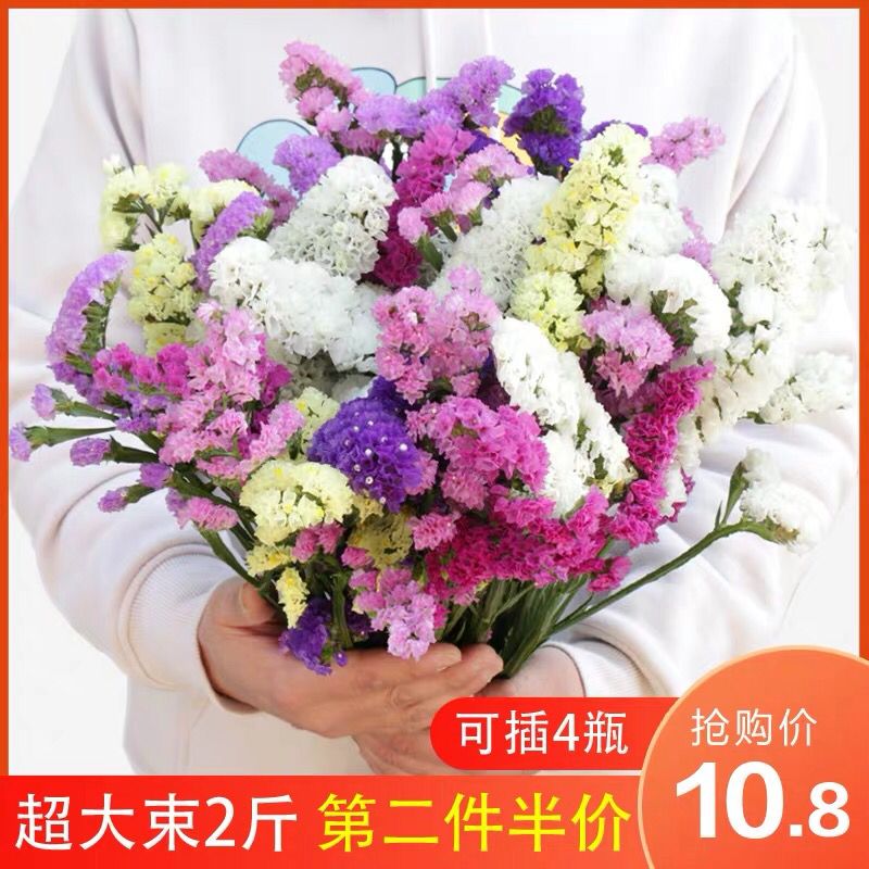 先领券/零点后下单云南天然干花2斤10.8元  