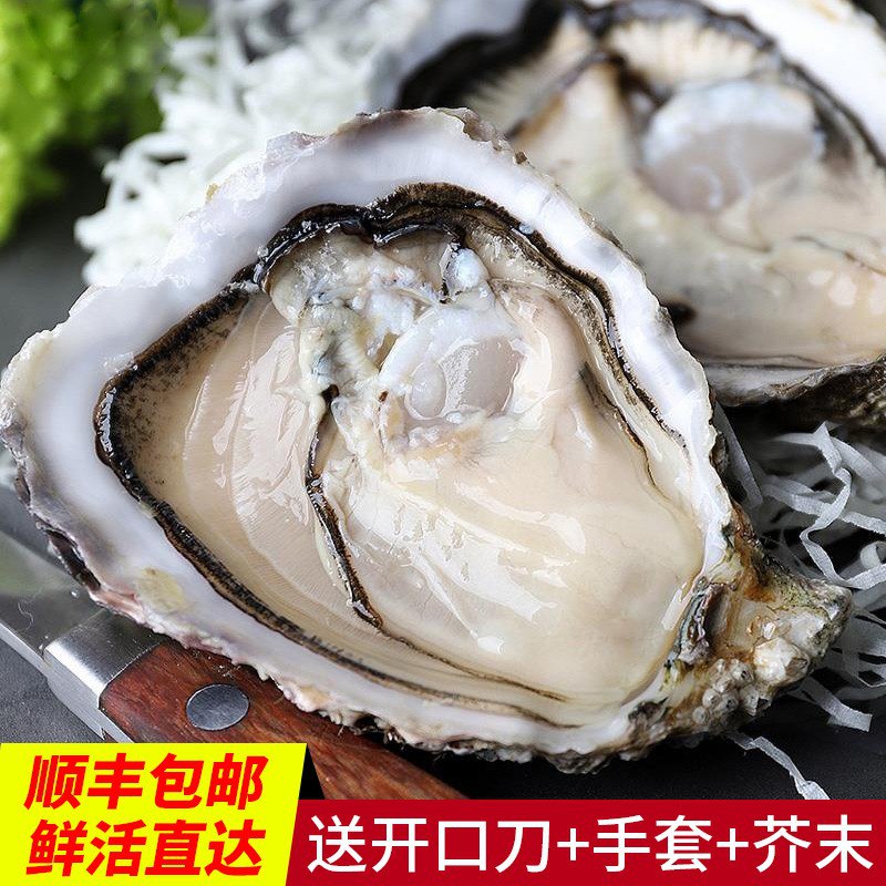 山东乳山生蚝 5斤45.9