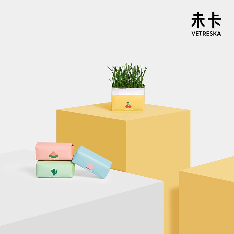 13.9元【未卡旗舰店】未卡彩虹mini无土猫草盆栽￥dhHt2VtYDWd￥/