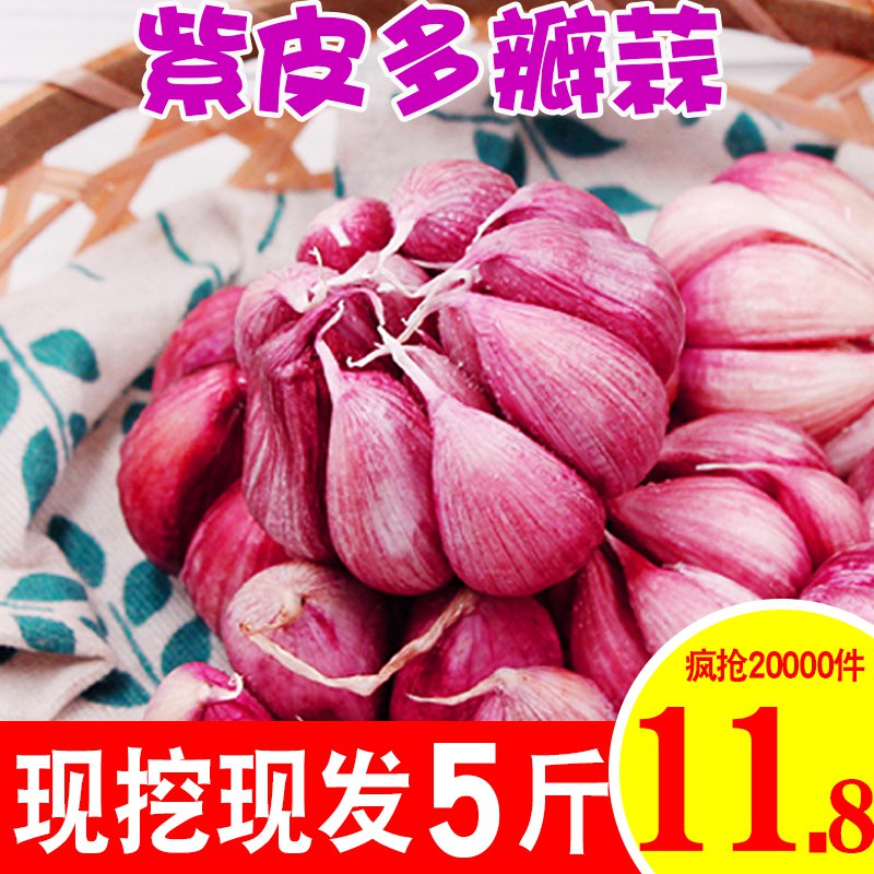 紫皮大蒜新鲜五斤  