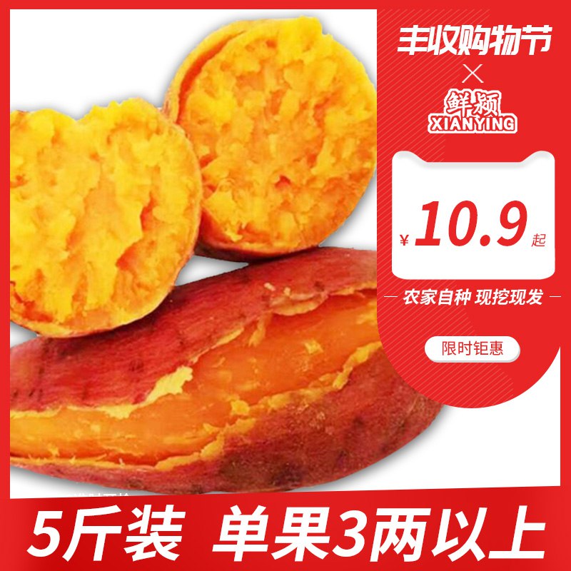 红心六鳌蜜薯5斤 9.9元  (4WLuc4YiBvK)