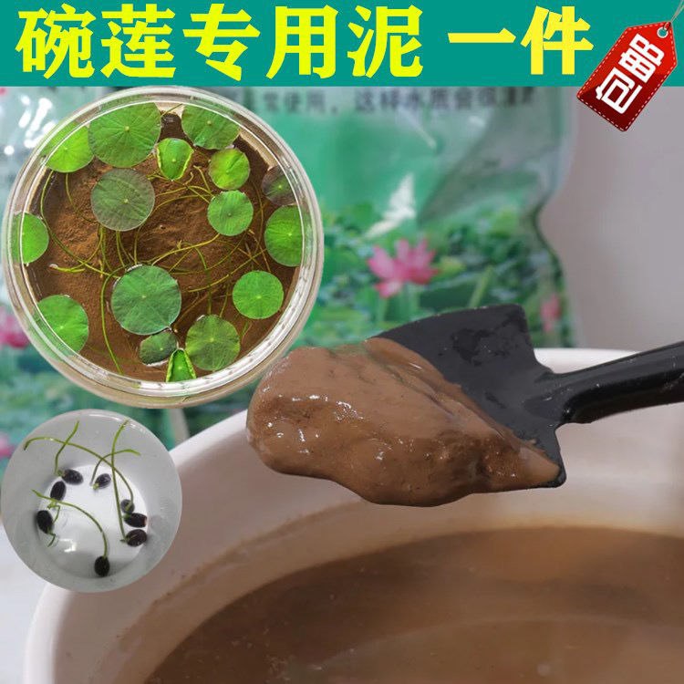 【200克2包】河泥荷塘泥碗莲睡莲专用土河塘泥淤泥水生植物营养土